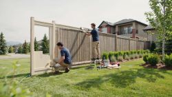 fence painter DALHOUSIE Calgary